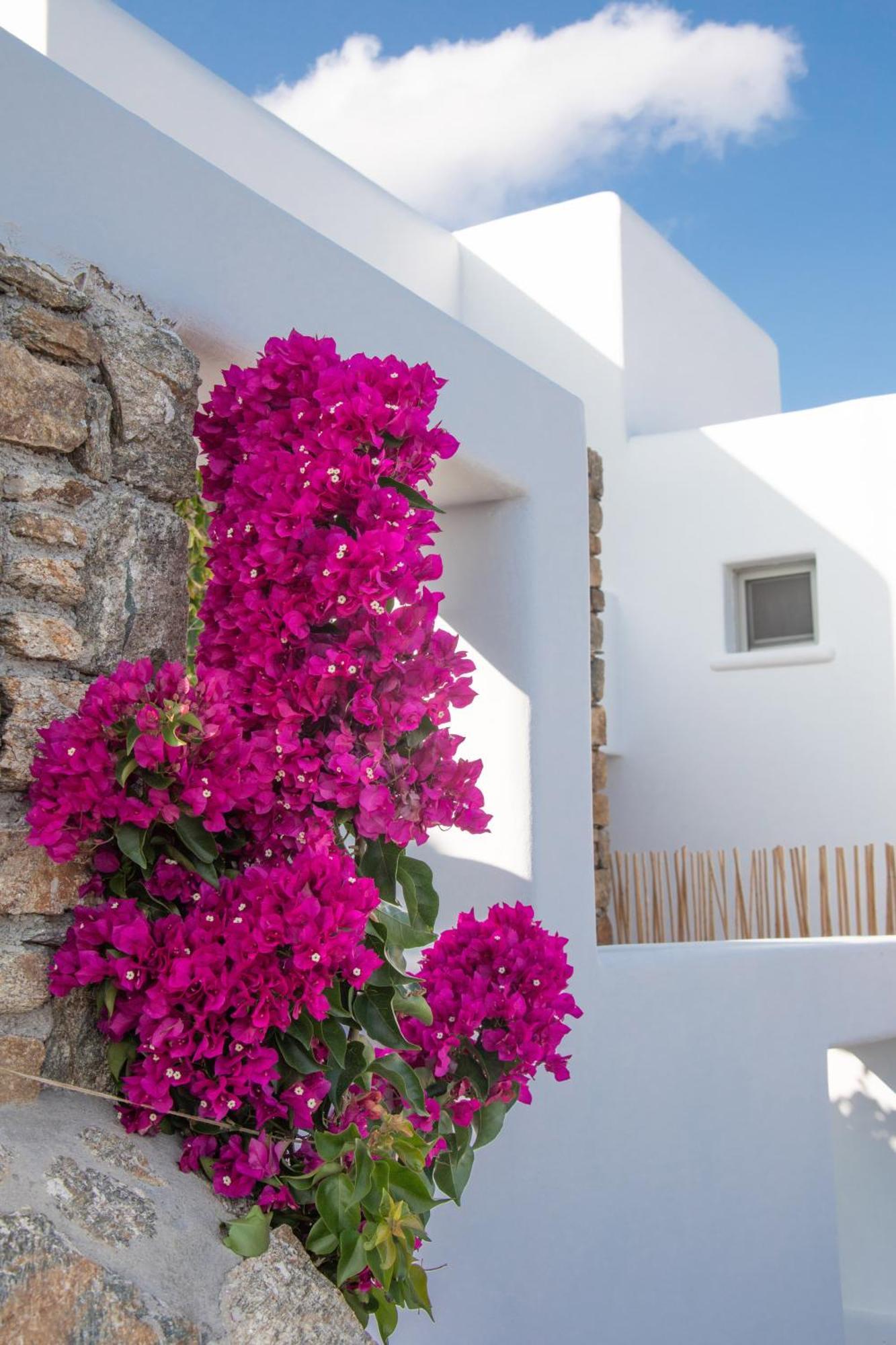 Bed and Breakfast The Summit Of Mykonos Kalo Livadi Zewnętrze zdjęcie